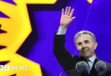 Ivanishvili organized a massive protest before the important vote