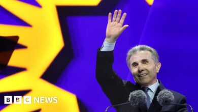 Ivanishvili organized a massive protest before the important vote