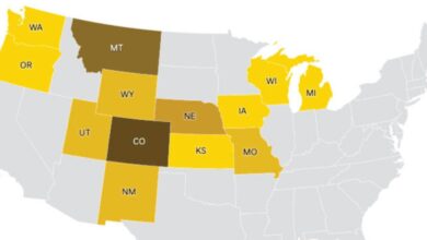 Number of McDonald's E. coli cases increases