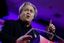 Steve Bannon is out of prison and spreading lies online