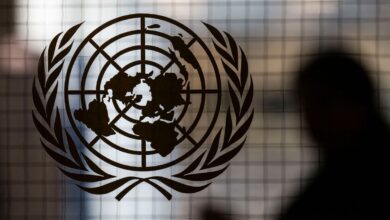 UN Database Exposed Sensitive Information Accessible Online