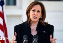 Why Harris went from 'joy' to calling Trump a 'fascist'