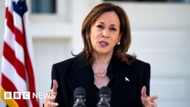 Why Harris went from 'joy' to calling Trump a 'fascist'