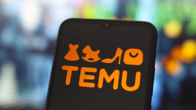 Temu tops iOS downloads in US for second year amid increased scrutiny of Chinese companies