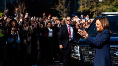 Kamala Harris broke the post-election silence with a message to her supporters: "Let's keep fighting"