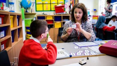 Learning support assistant (LSA) with Special educational needs and Disability (SEND) child