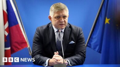 Slovak Prime Minister Robert Fico arrived in the capital after the shooting