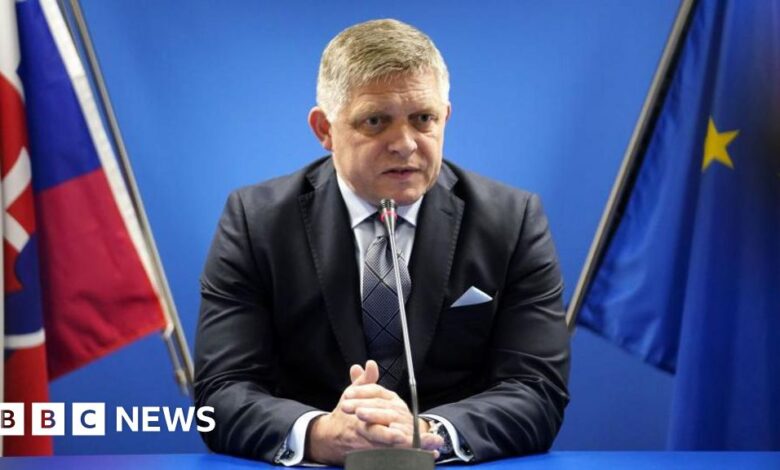 Slovak Prime Minister Robert Fico arrived in the capital after the shooting