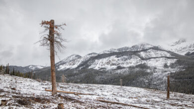 Sign in to Banff to save it from the Canadian wildfires