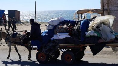 Gaza: 80,000 displaced from Rafah as Israeli bombardment intensifies, UN aid groups say