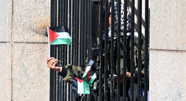 UN expert warns about unfair treatment of pro-Palestinian student protesters in the US