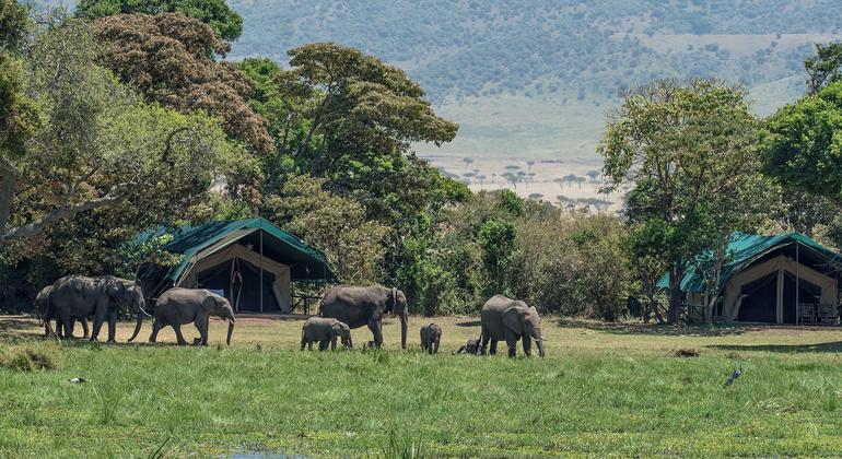 UN crime agency warns of 'unprecedented harm to nature' from wildlife trade