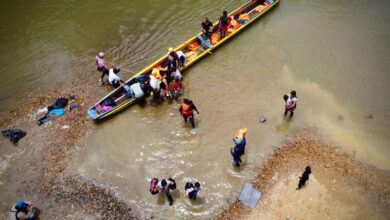 Increase in migrant children crossing the dangerous Darién Gap: UNICEF