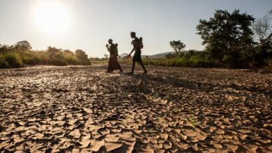 Drought and floods threaten 'humanitarian disaster' across southern Africa