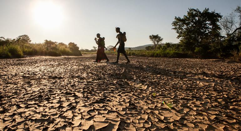 Drought and floods threaten 'humanitarian disaster' across southern Africa