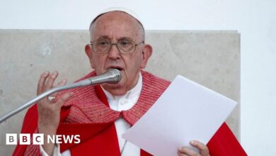 Pope Francis has been accused of using a derogatory term for homosexuals