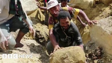 Locals scrambled to search for the deadly landslide by hand