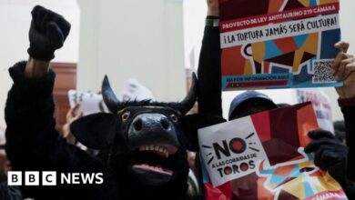 Colombia's Congress votes to ban bullfighting