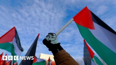 Ireland, Norway and Spain recognize the state of Palestine