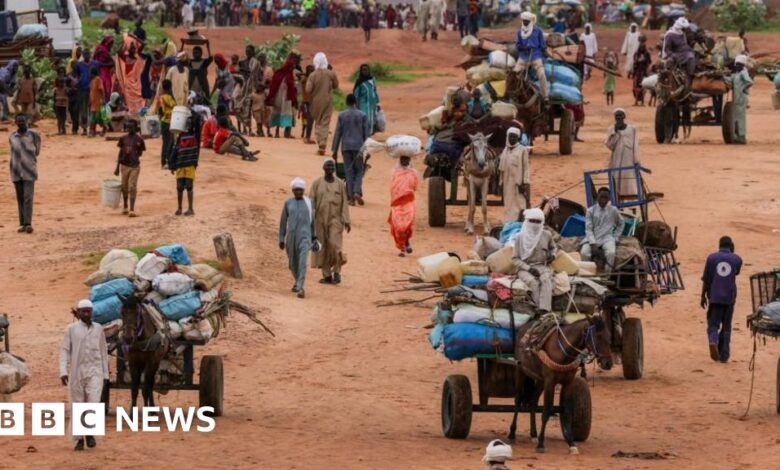 UN expert warns of genocide in Darfur city of El Fasher