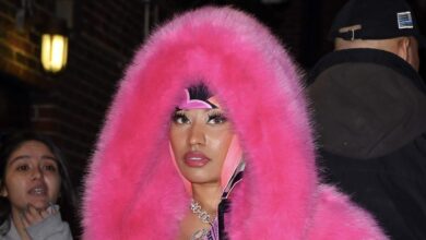 Nicki Minaj has reportedly been released after being arrested in Amsterdam