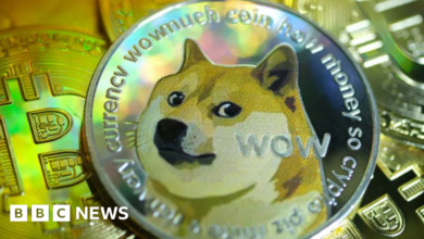 The Shiba inu dog is the meme and face of Dogecoin