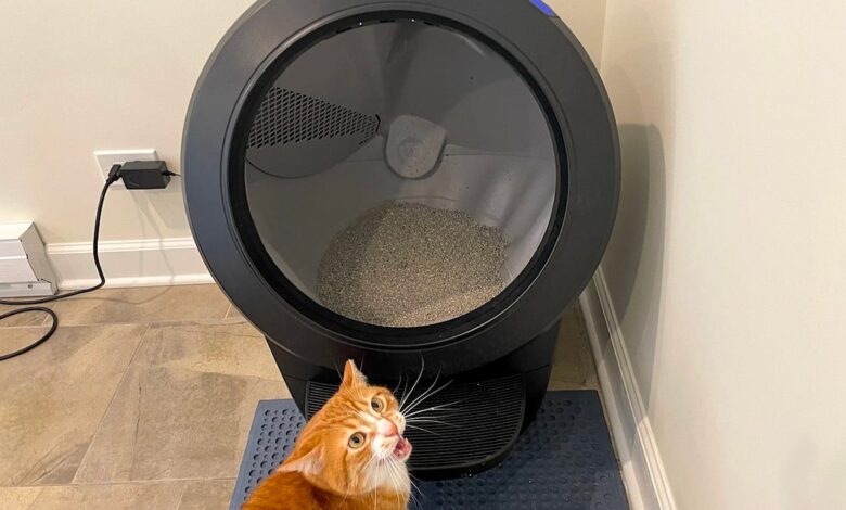 Best self-cleaning litter box of 2024: Expert tested