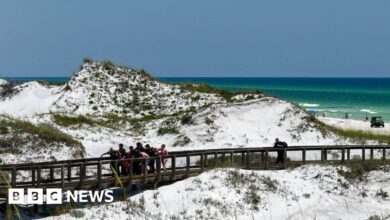 The woman and two girls were injured at the beach