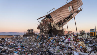 The White House takes a bite out of the huge pile of food waste