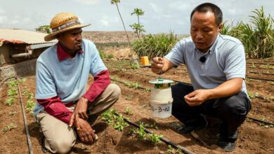 Cabo Verde reverses climate change through South-South cooperation