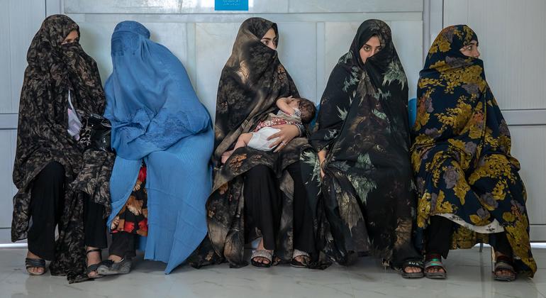 World News Summary: Mass flogging in Afghanistan, refugee resettlement crisis, 'greening education'