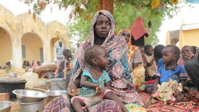 Levels of forced displacement worldwide reach new high: UNHCR