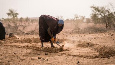 WFP strengthens response in West and Central Africa to address rising hunger