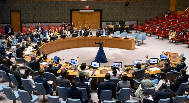 The Security Council asked the Houthis to stop attacking in the Red Sea