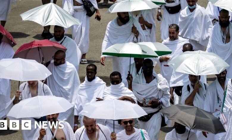 At least 14 Hajj pilgrims died because of the intense heat