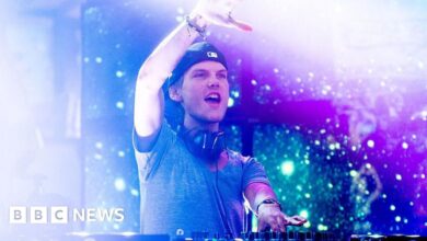 Avicii's father on his son's legacy, mental health and sins