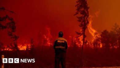 Arctic wildfires are devastating the region, EU climate service says