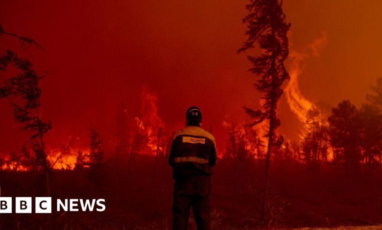 Arctic wildfires are devastating the region, EU climate service says