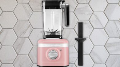 10 best blenders (2024): Pitcher, Hand, Immersion