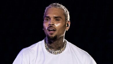 Chris Brown threw his jacket into the crowd and caused a fight with fans (Video)