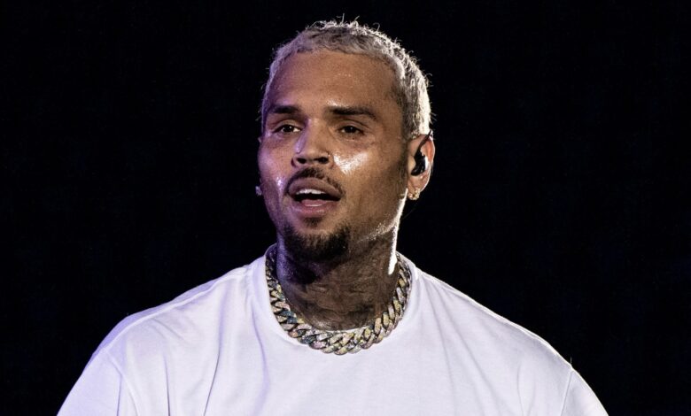 Chris Brown threw his jacket into the crowd and caused a fight with fans (Video)