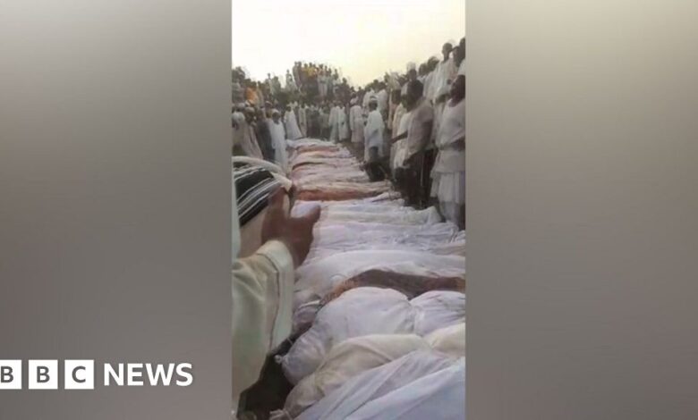 Sudan massacre in Gezira state blamed on RSF