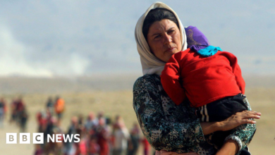 Yazidi women fear returning to devastated and brutal land