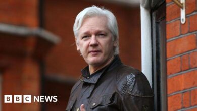 Julian Assange was released under a US plea agreement