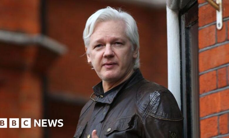 Julian Assange was released under a US plea agreement