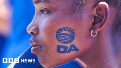 A DA member was suspended for using racist language