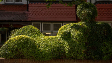 You see a fence. He sees something else.