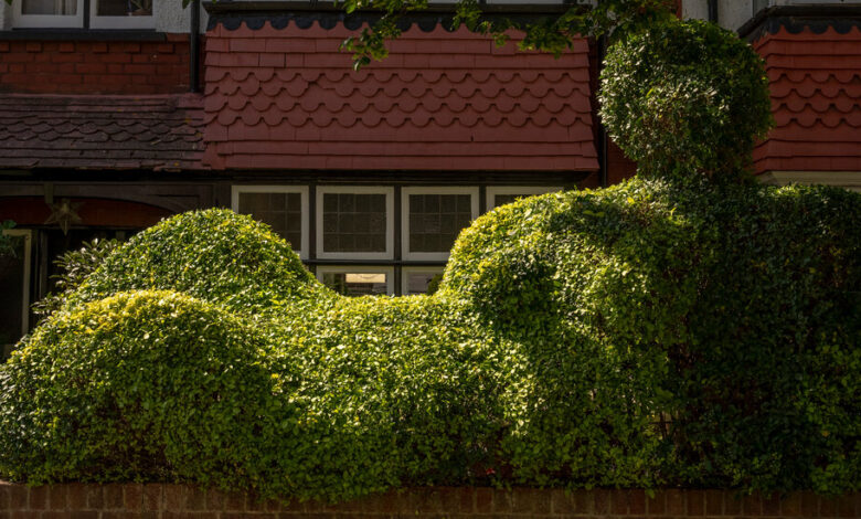 You see a fence. He sees something else.