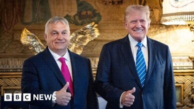 Hungary's Orban Becomes Self-Proclaimed Global Peacekeeper Without a Plan