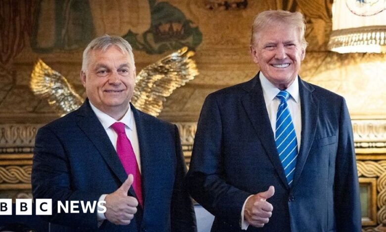 Hungary's Orban Becomes Self-Proclaimed Global Peacekeeper Without a Plan